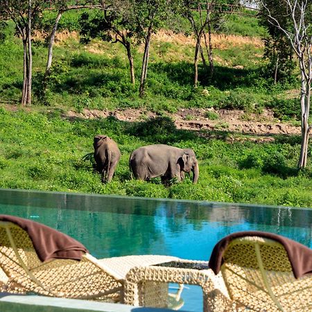 Wild Cottages Elephant Sanctuary Resort Amphoe Koksamui Exterior foto