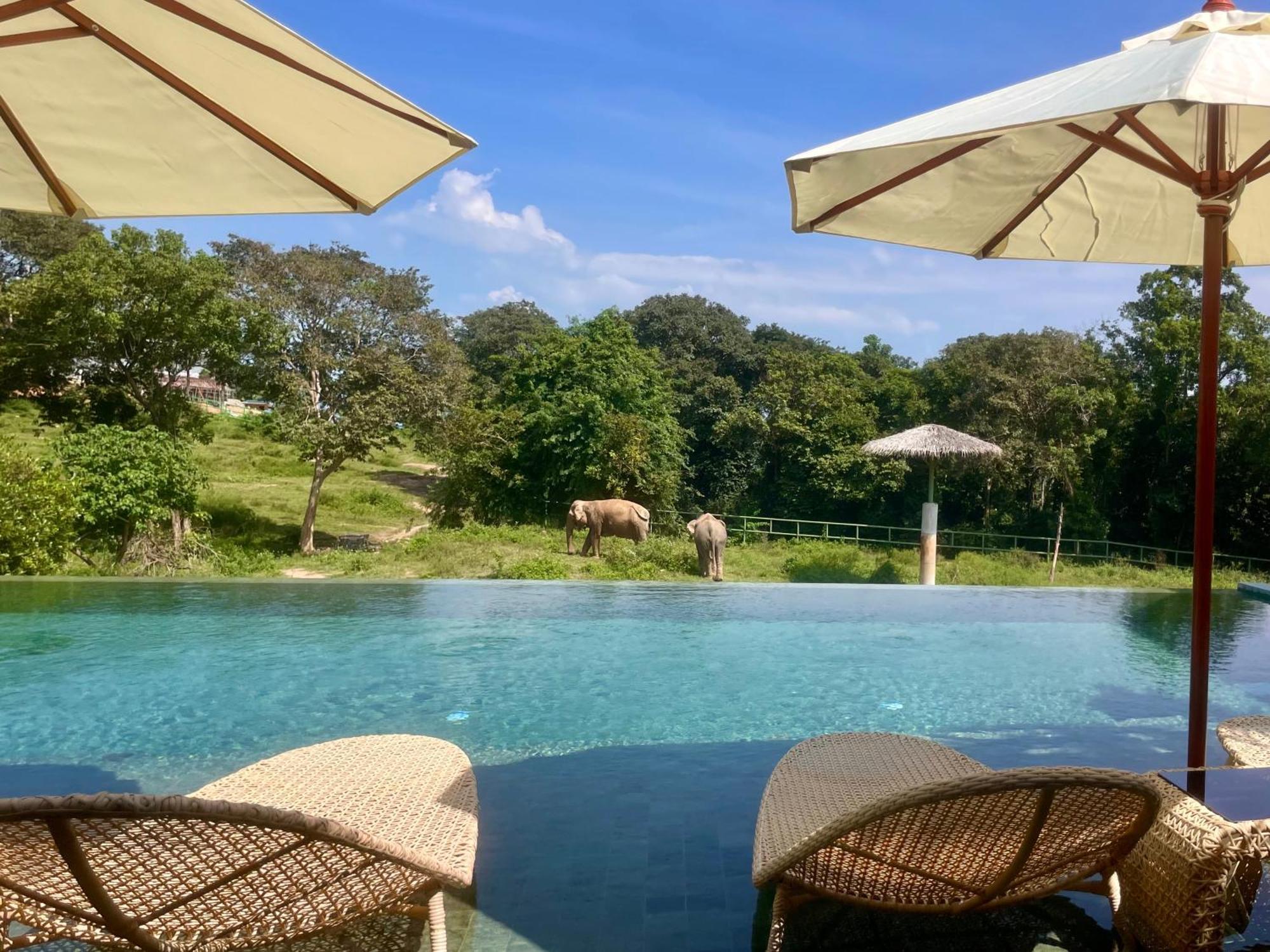 Wild Cottages Elephant Sanctuary Resort Amphoe Koksamui Exterior foto